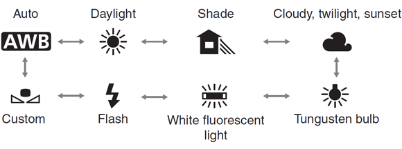 white balance for video publishing