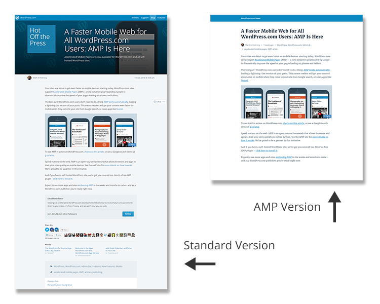Standard vs. Google AMP Version