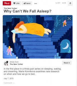 Pinterest Rich Article Pin
