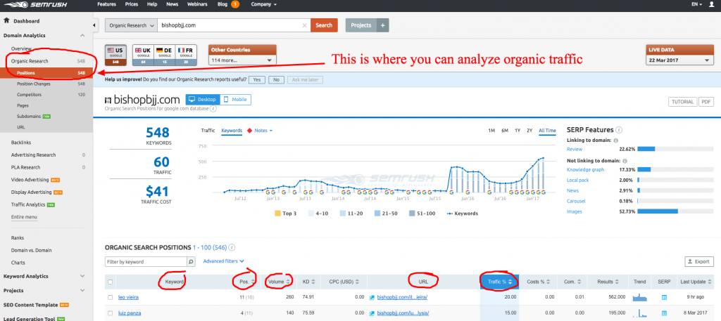 seo audit free